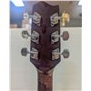 Image 6 : FENDER GEMINI ACOUSTIC GUITAR