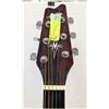 Image 3 : VINTAGE MONTANA ACOUSTIC GUITAR