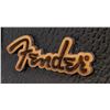 Image 2 : FENDER ACOUSTIC GUITAR CASE