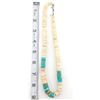 Image 5 : Vintage Kewa Santo Domingo Rolled Clam Shell & Turquoise Heishi Necklace