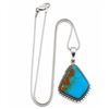 Image 1 : Navajo Pilot Mountain Turquoise Pendant Sterling Silver Necklace Arkie Nelson