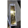 Image 2 : NEW TAYMOR PUSH PLATES