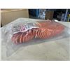 Image 2 : 35FT COIL CORD