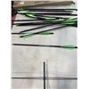 Image 4 : GOLDEN EAGLE CROSSBOW AND 12 PACK OF ARROWS