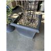 Image 5 : 2 BAMBOO TREES IN PLANTERS