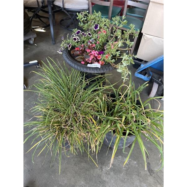 3 PLANTER POTS W/ GRASSES AND FLOWERS