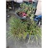 Image 1 : 3 PLANTER POTS W/ GRASSES AND FLOWERS