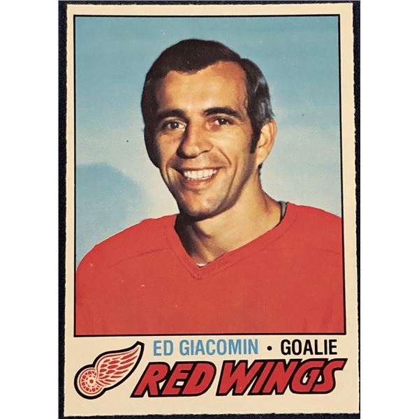 1977-78 O-PEE-CHEE NHL ED GIACOMIN (HOF)