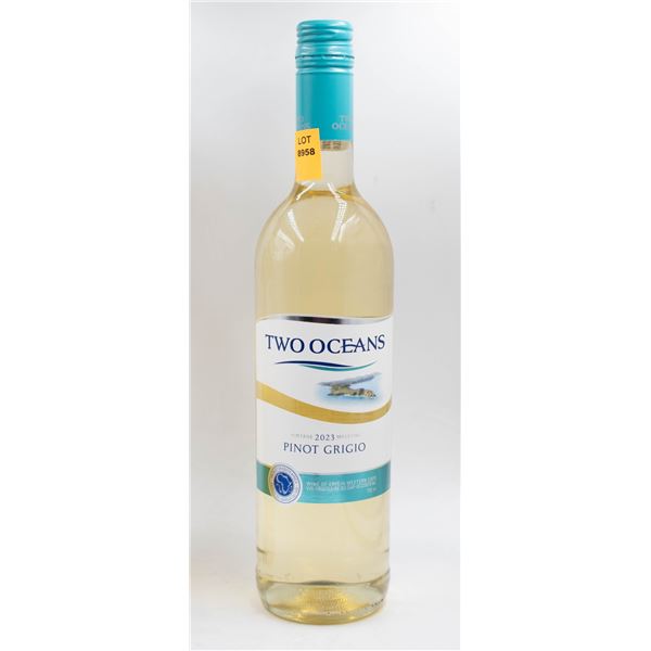 2023 TWO OCEANS PINOT GRIGIO 750ML 12.5%