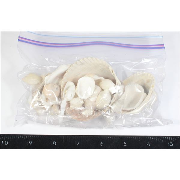 BAG OF SEA SHELLS