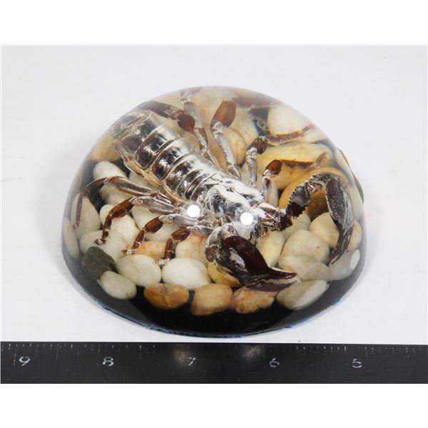 SCORPION PAPER WEIGHT