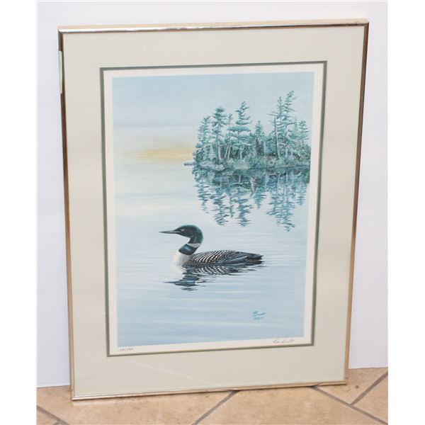 FRAMED LOON PRINT 24.5" X 18.5"