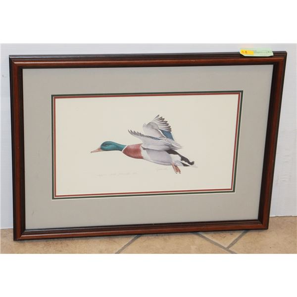 DUCK FRAMED ART 21" X 16"