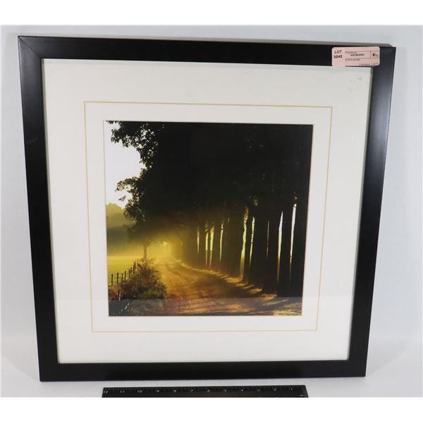 FRAMED PICTURE