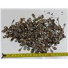 Image 1 : Item To Come