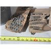 Image 2 : Vintage Numbered Railroad / Utility Nails in Metal Bucket