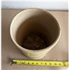 Image 2 : Vintage Medalta Crock