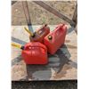 Image 1 : 3- 20L gas cans