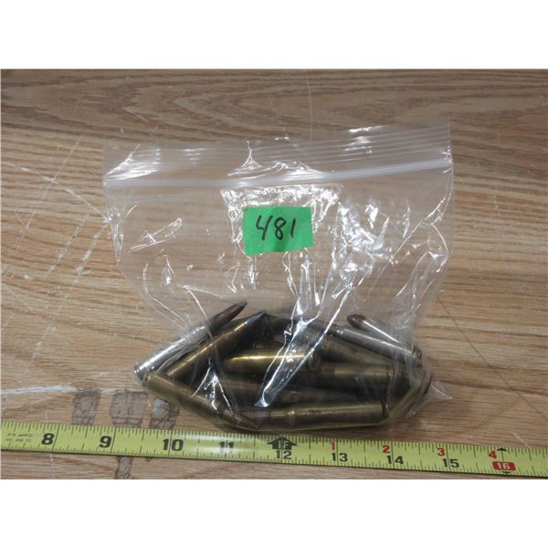 Various Ammo 40-82 WCF, 38-55, 43-m