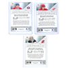 Image 2 : (3) 2024-25 Upper Deck Young Guns Hockey Cards