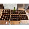 Image 1 : (6) Boxes of Empty Wine/Whisky/etc bottles.