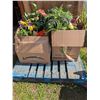 Image 1 : 2 XXL Boxes of Artificial Plants and Flowers