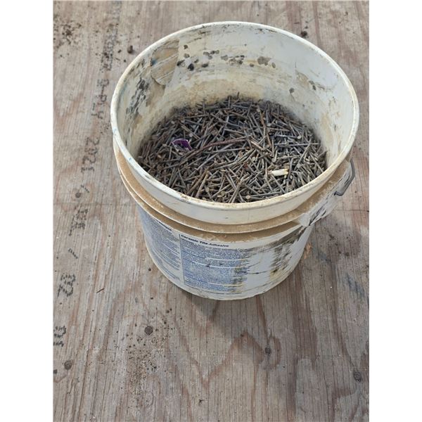 Bucket of nails