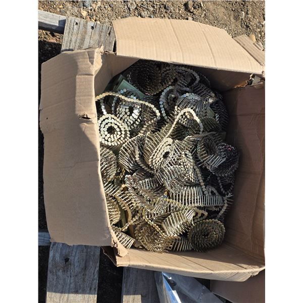 Box of coiled nails