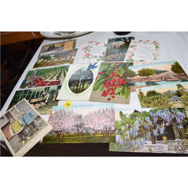 Vintage Postcard Lot – L.A. Chinatown, etc.