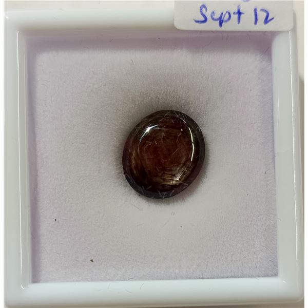 New - 10.4ct Natural Star Ruby - Untreated - Retail $2080.00