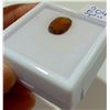 Image 3 : New - 3.3ct Garnet - Untreated - Retail $380.00