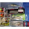 Image 3 : Container of fishing lures and related