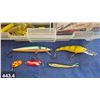 Image 4 : Container of fishing lures and related
