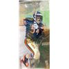 Image 5 : McFarlane Brian Urlacher - NFL Cbears - Series9