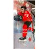 Image 5 : Mcfarlane Dany Heatley- Canada 2010 Gold Medalists