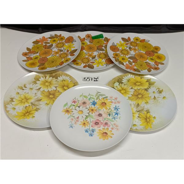 (6) Maplex (Toronto) Melamine Dinner Plates