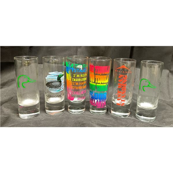 (6) Assorted Shotglasses