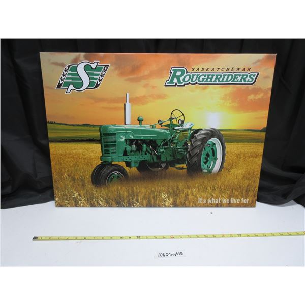 Sask. Roughriders picture (19.5 x 27 inches)