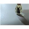 Image 2 : Bug in acrylic pendant, bat skull