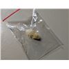 Image 3 : Bug in acrylic pendant, bat skull