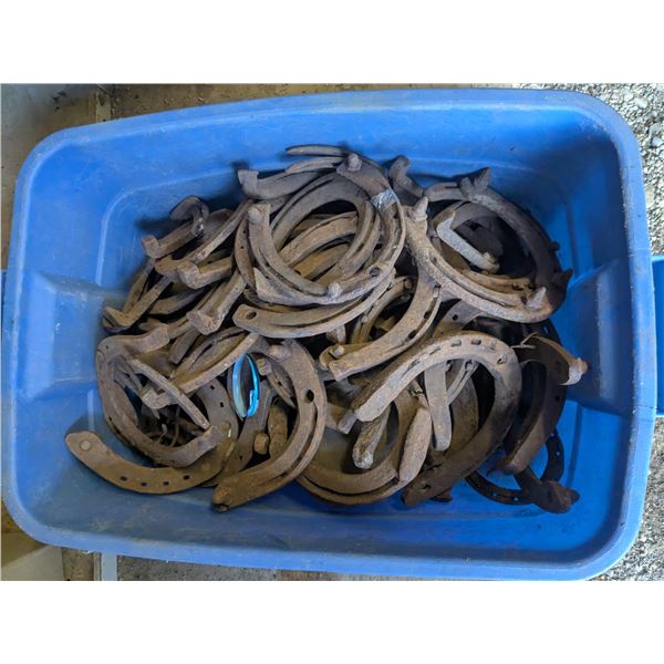 50+ Antique Draft Horseshoes in 10 Gal Tote