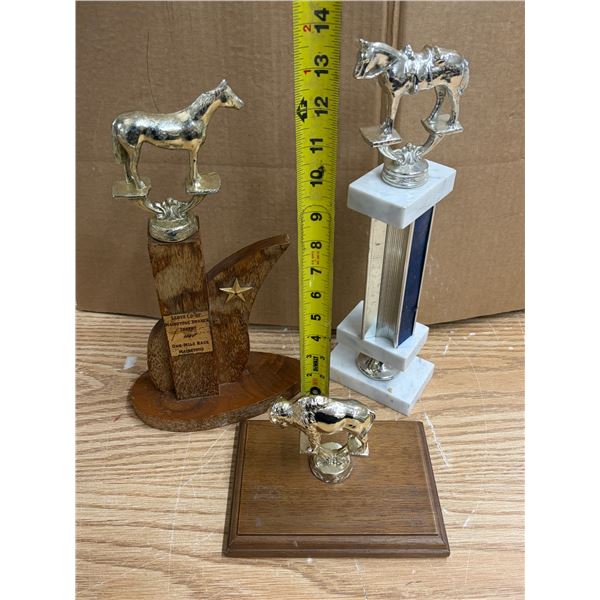 (3) Metal Trophies.