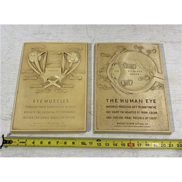 Pair of vintage Bausch & Lomb anatomical eye plaques from the 1930s. (One Corner Minor Broken See Ph