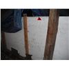 Image 4 : approx. 75-100 bushels of grain screenings