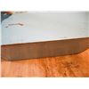 Image 5 : vintage metal Coleman cooler