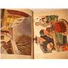 Image 14 : Waldheim history book, encyclopedias, etc.