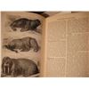 Image 8 : Waldheim history book, encyclopedias, etc.