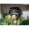 Image 5 : 1225 gallon polyethylene agricultural tank