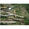 Image 3 : lot of garden tools