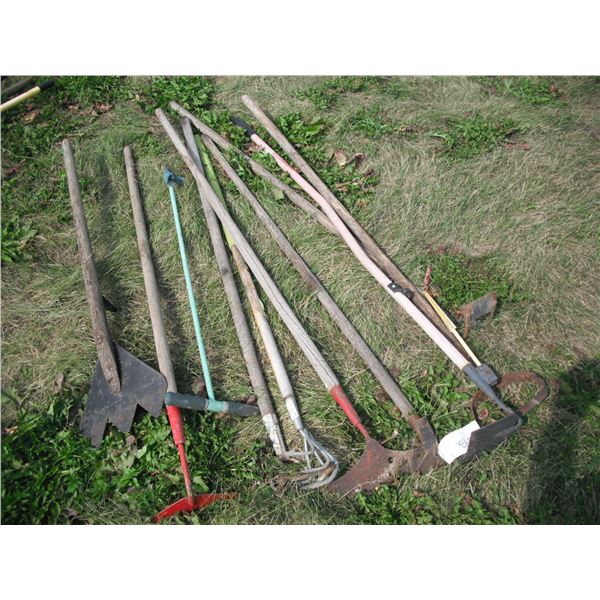 lot of garden tools